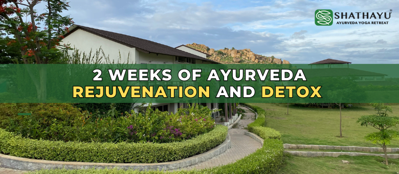 Ayurveda Rejuvenation & Detox Retreat in India