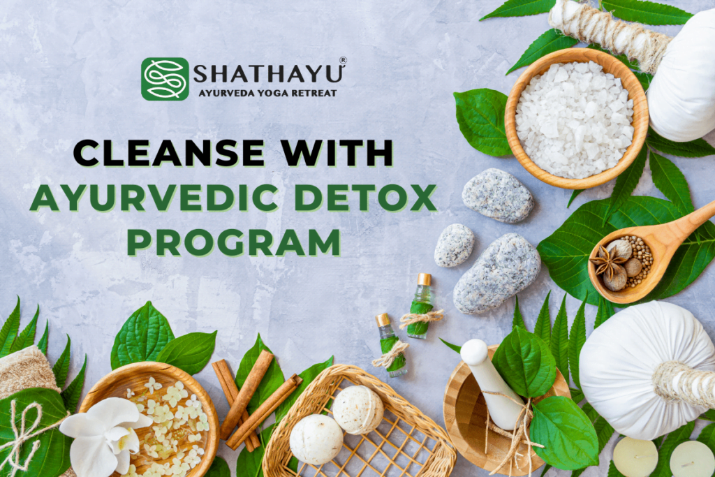 Best Ayurvedic Detox Retreat in India